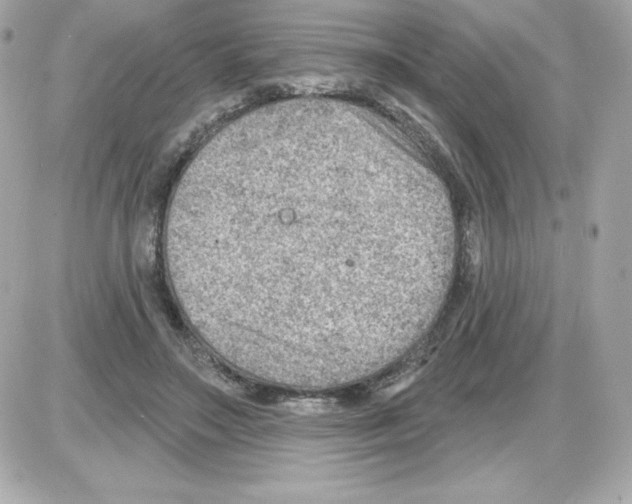 X0000085240499200704092027