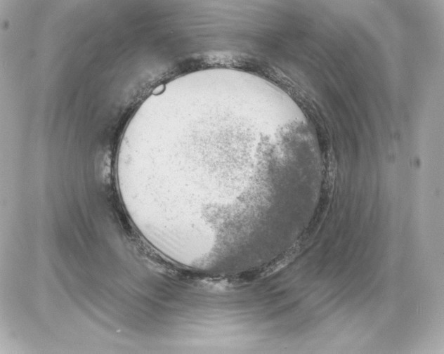 X0000085240502200704092027