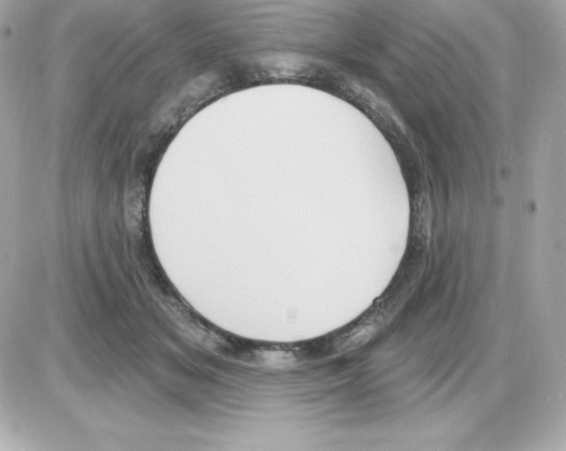 X0000085240509200704092027