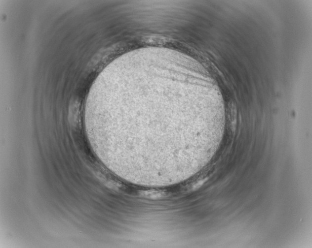 X0000085240511200704092027
