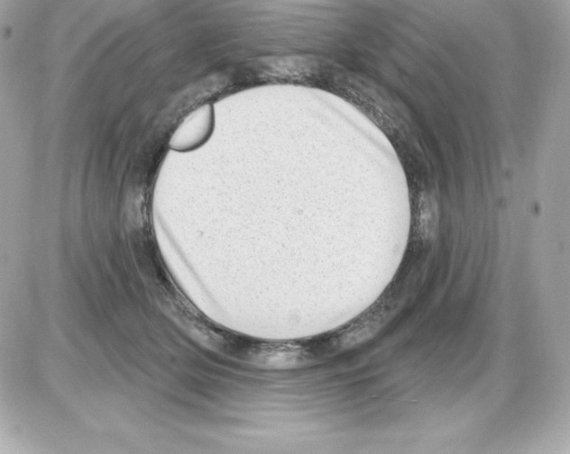 X0000085240514200704092026
