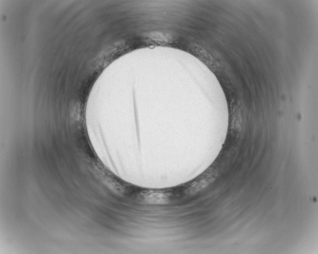 X0000085240518200704092026