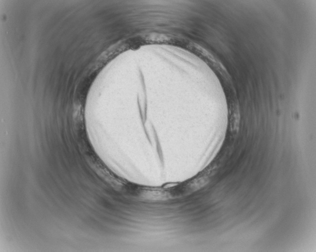 X0000085240521200704092026