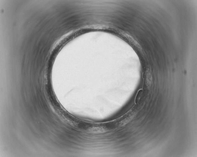 X0000085240536200704092026