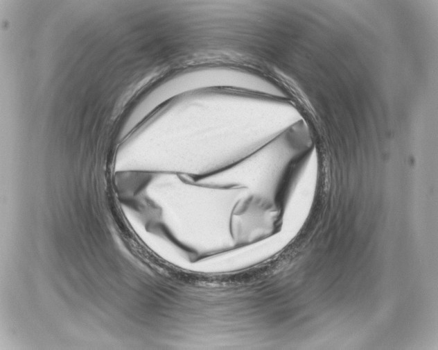 X0000085240538200704092026