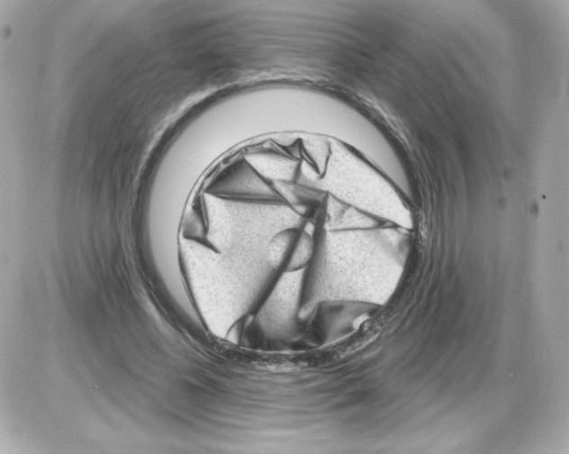 X0000085240540200704092026
