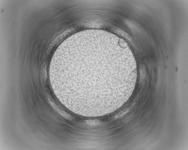 X0000085240541200704092026