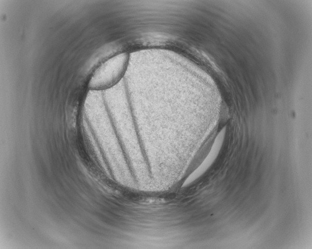 X0000085240543200704092026