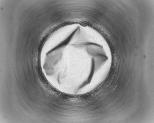 X0000085240544200704092026