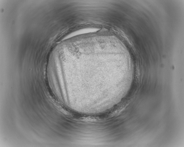 X0000085240545200704092026