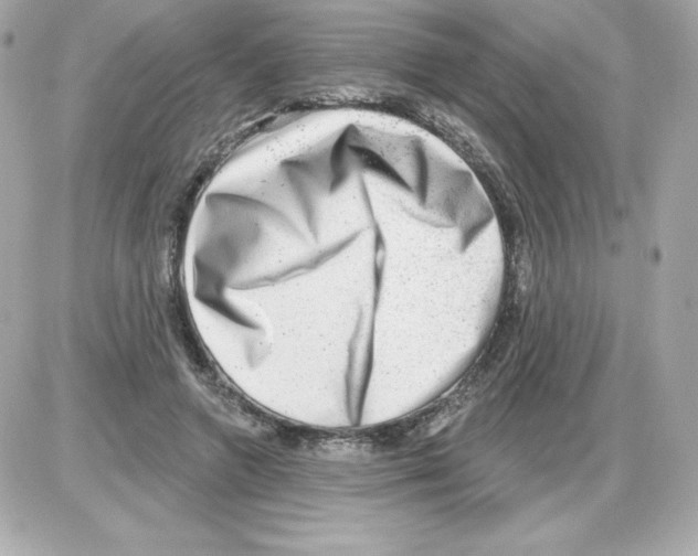 X0000085240546200704092026