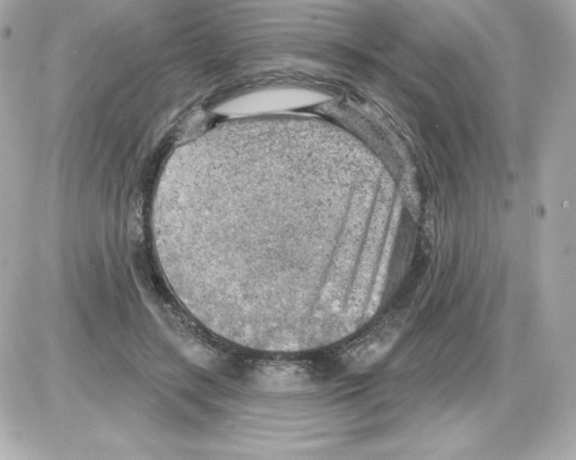 X0000085240547200704092026