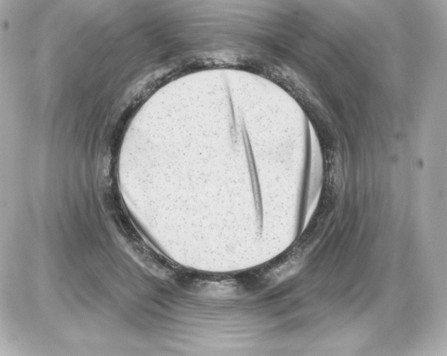 X0000085240548200704092026