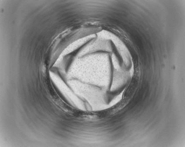 X0000085240552200704092026