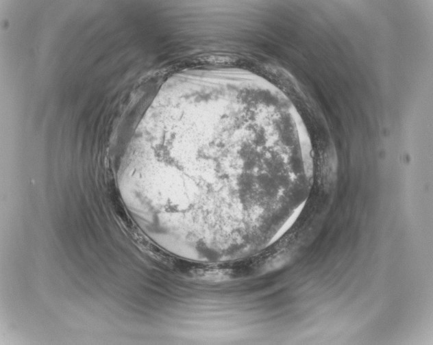X0000085240553200704092026