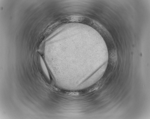 X0000085240554200704092026