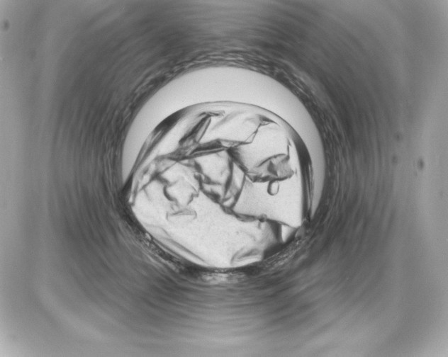 X0000085240558200704092026