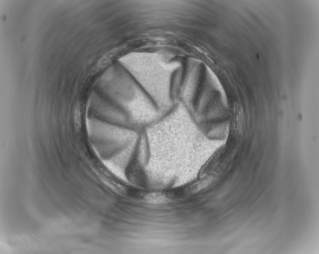 X0000085240562200704092026