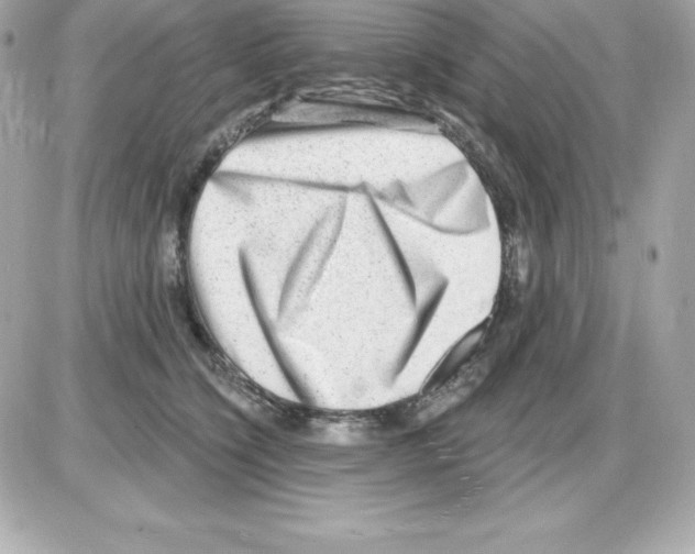 X0000085240564200704092026