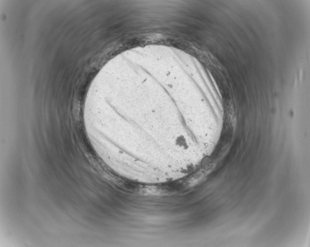 X0000085240565200704092026