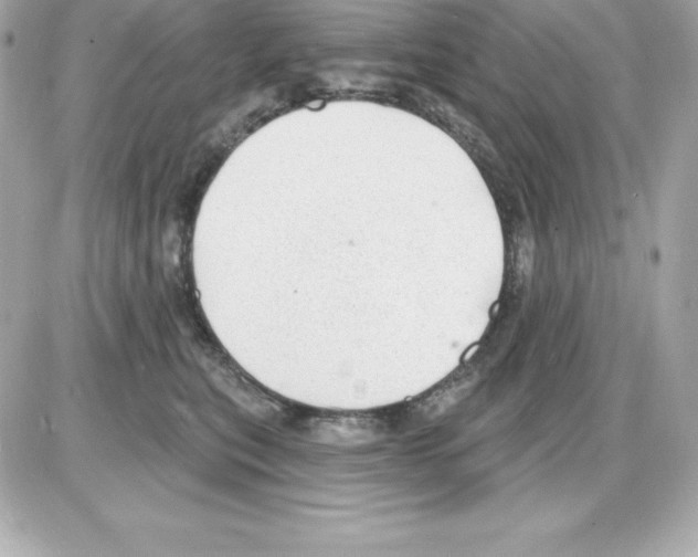 X0000085240567200704092026