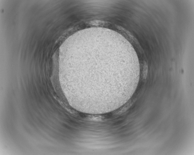 X0000085240569200704092026
