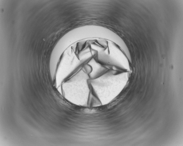 X0000085240570200704092026