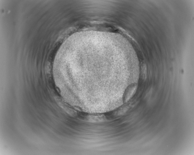 X0000085240571200704092026