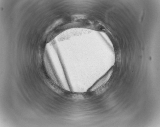 X0000085240572200704092026