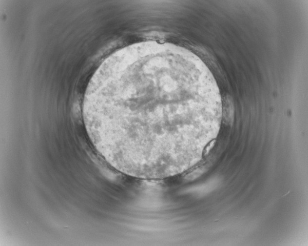 X0000085240573200704092026