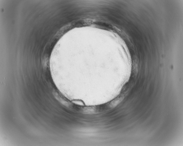 X0000085240574200704092026