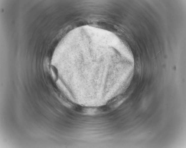 X0000085240575200704092026