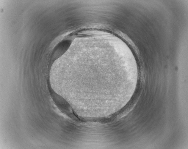 X0000085240577200704092025
