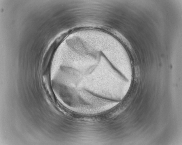 X0000085240580200704092025