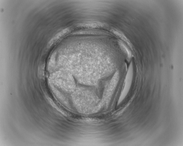 X0000085240585200704092025
