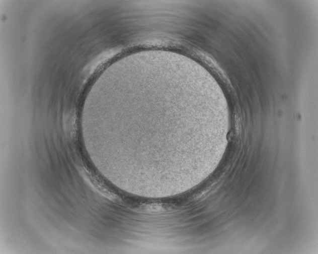 X0000085240588200704092025
