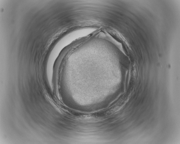 X0000085240589200704092025