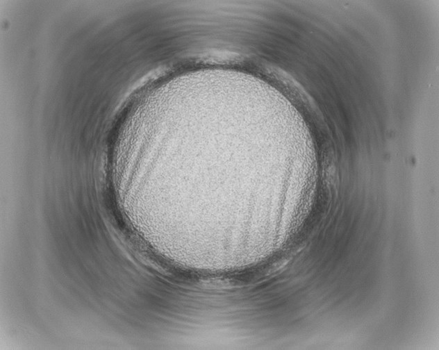 X0000085240591200704092025