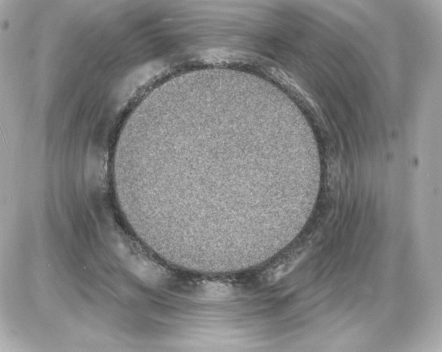 X0000085240592200704092025