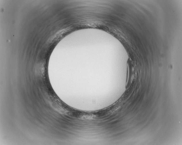 X0000085240595200704092025