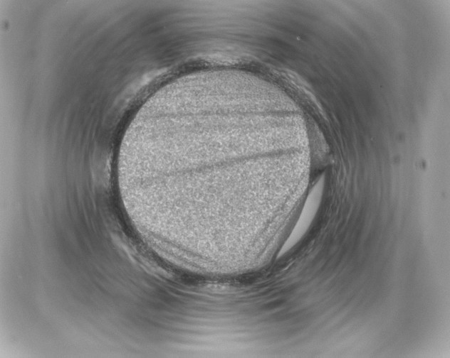 X0000085240596200704092025