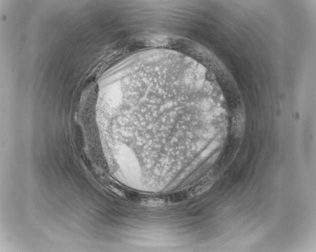 X0000085240598200704092025
