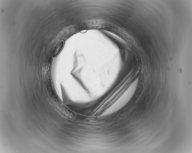 X0000085240601200704092025
