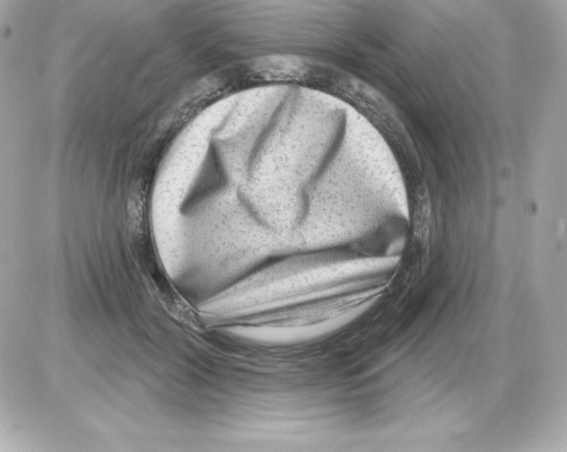 X0000085240604200704092025