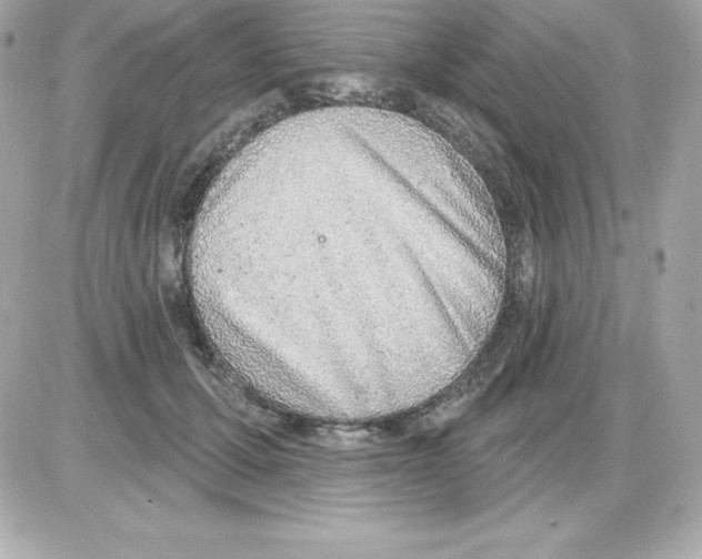 X0000085240607200704092025
