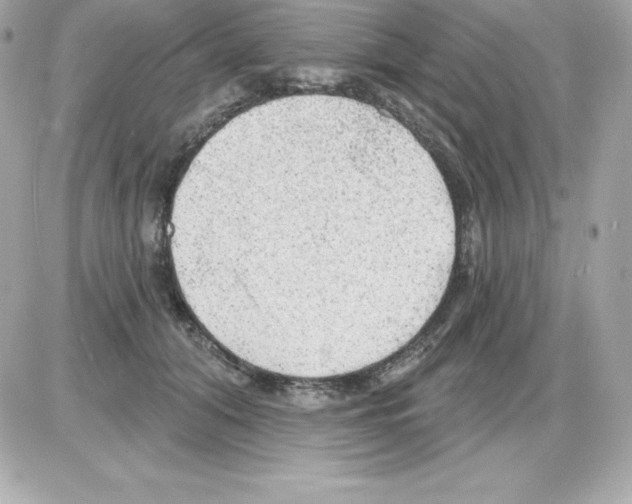 X0000085240608200704092025