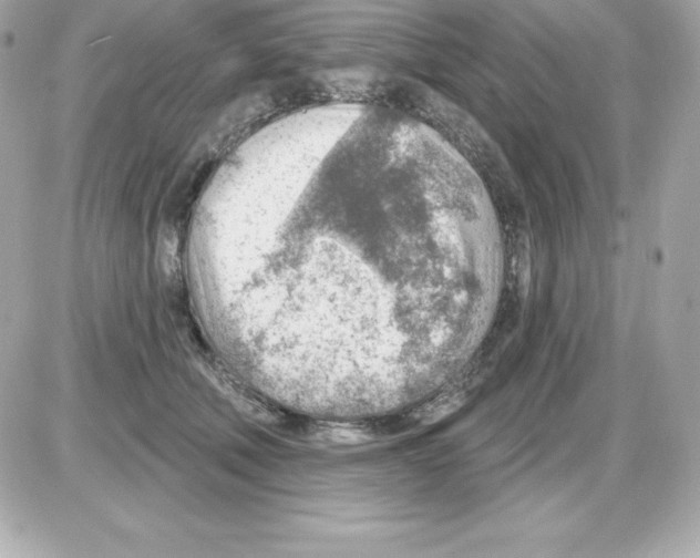 X0000085240610200704092025