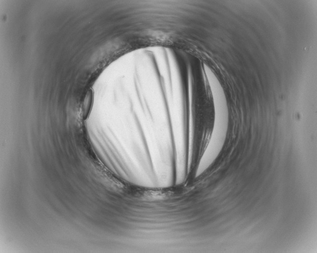 X0000085240613200704092025