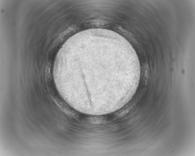 X0000085240615200704092025