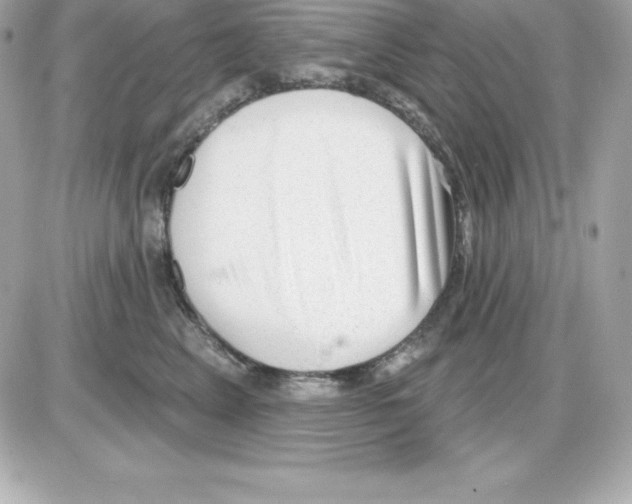 X0000085240617200704092025